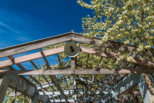 1. Old Architecture by Ron Hammond